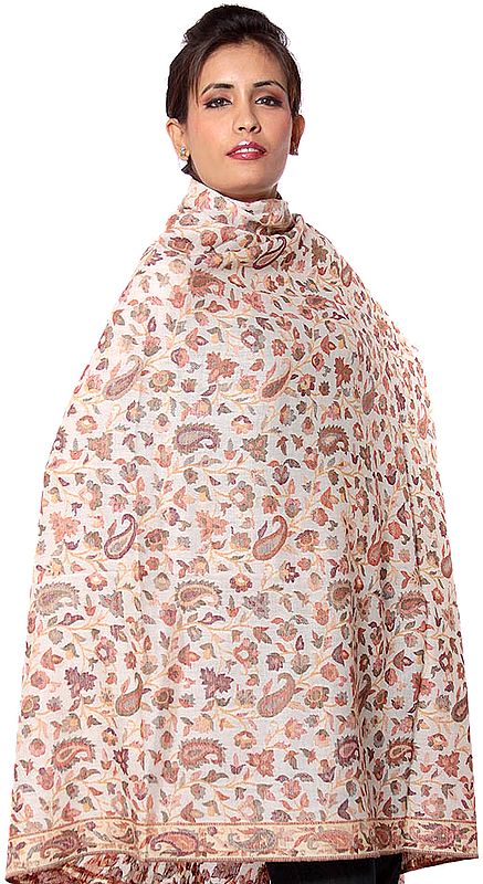 Ivory Kani Jamawar Shawl with Woven Paisleys in Multi-Color Thread