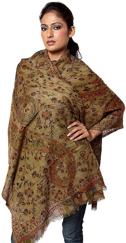 Brown Double-Sided Cashmere Stole with Large Paisleys