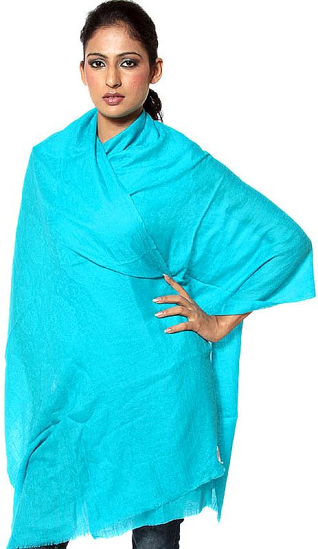 Robin-Egg Blue Pure Pashmina Stole from Kashmir with Self Weave
