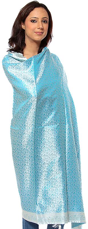 Light-Blue Banarasi Hand-Woven Shawl with All-Over Tanchoi Weave
