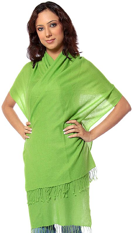 Lime-green pure Pashmina Scarf from Nepal