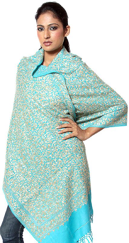 Turquoise-Blue Aari Stole with Embroidered Paisleys All-Over