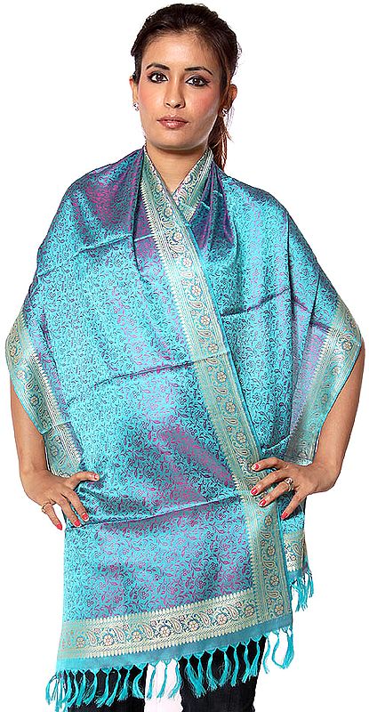 Sky-Blue Banarasi Hand-Woven Stole with All-Over Tanchoi Weave