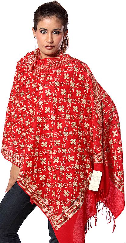 Red Aari Stole with Fawn-Colored Embroidery and Crystals