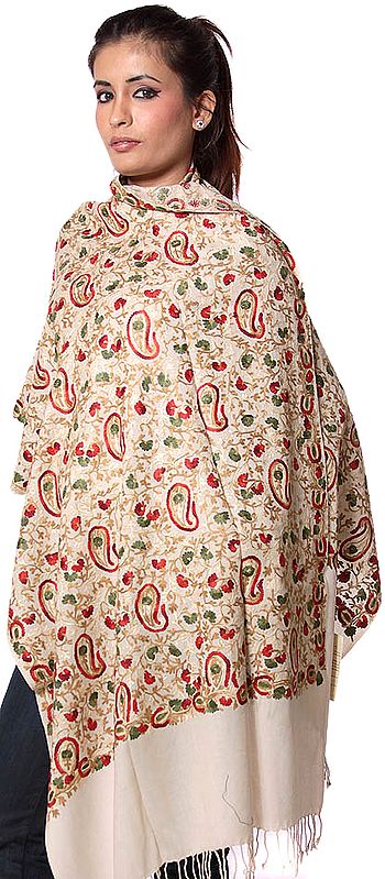 Beige Aari Stole with Multi-Color Embroidered Paisleys