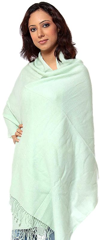 Pale-Green Pure Pashmina Stole from Nepal