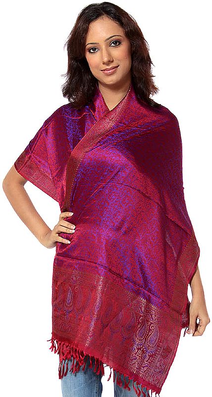 Burgundy Banarasi Hand-Woven Stole with All-Over Tanchoi Weave