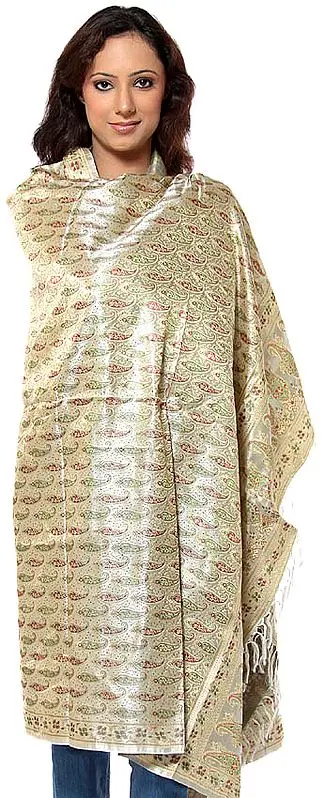 Beige Resham Tehra Banarasi Shawl