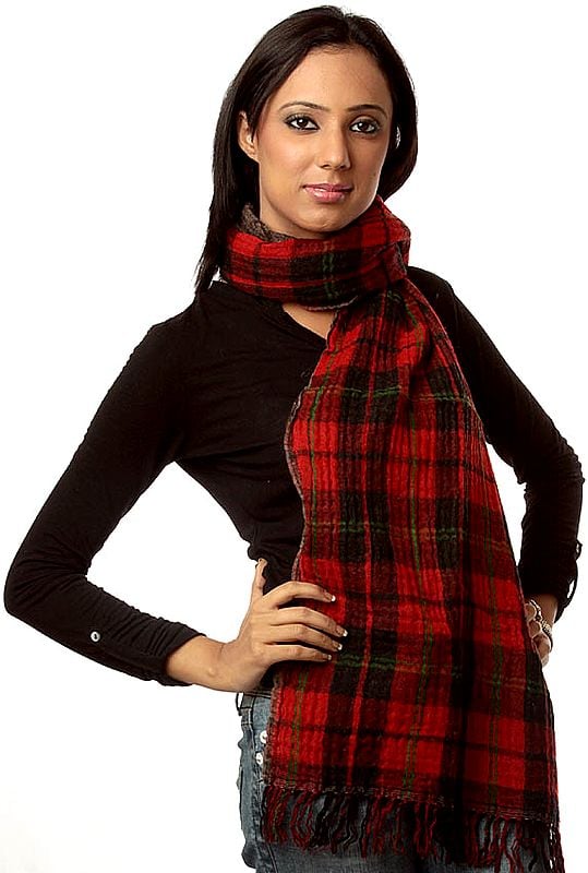 Red and Black Scarf with Woven Checks