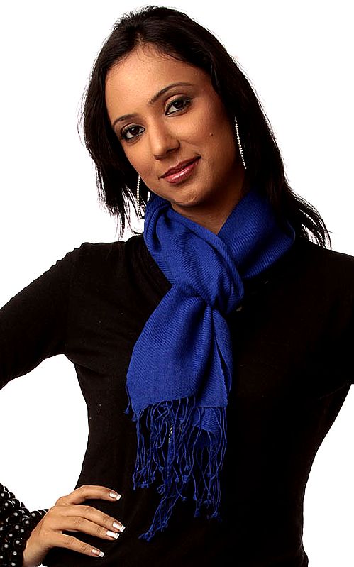 Royal-Blue Pure Pashmina Scarf from Nepal