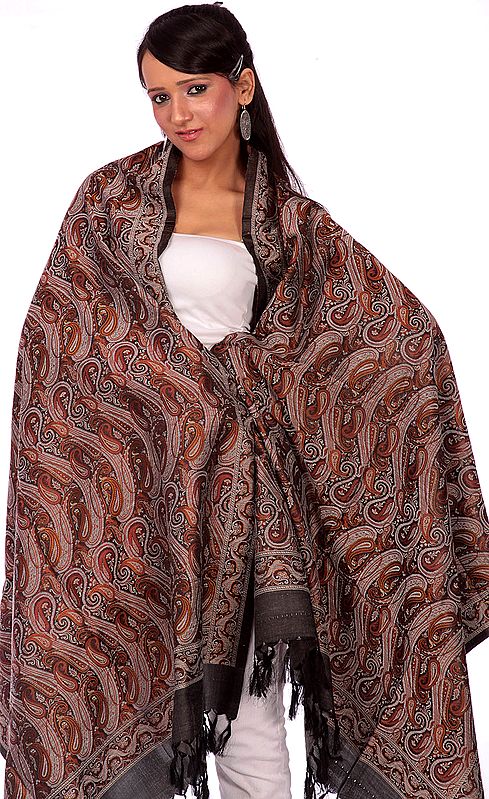 Gray Stylized Paisley Banarasi Shawl with All-Over Weave