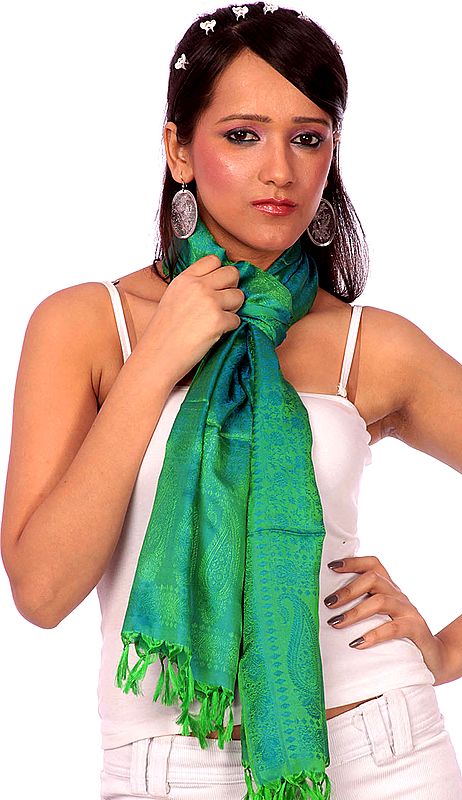 Green and Blue Banarasi Stole with Tanchoi Weave