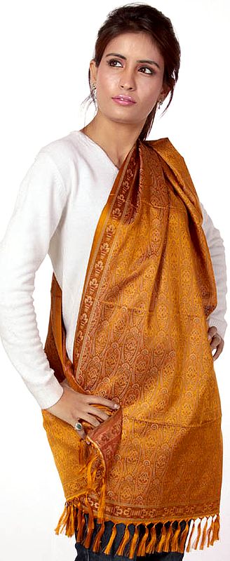 Golden Tehra Banarasi Stole Hand-Woven with All-Over Paisleys