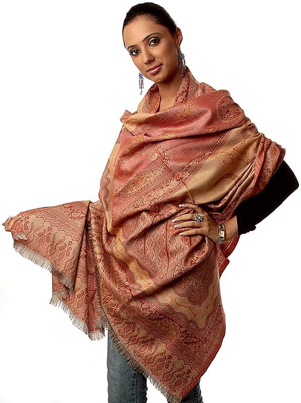Brown and Rust Jamawar Shawl with Needle Embroidery by Hand