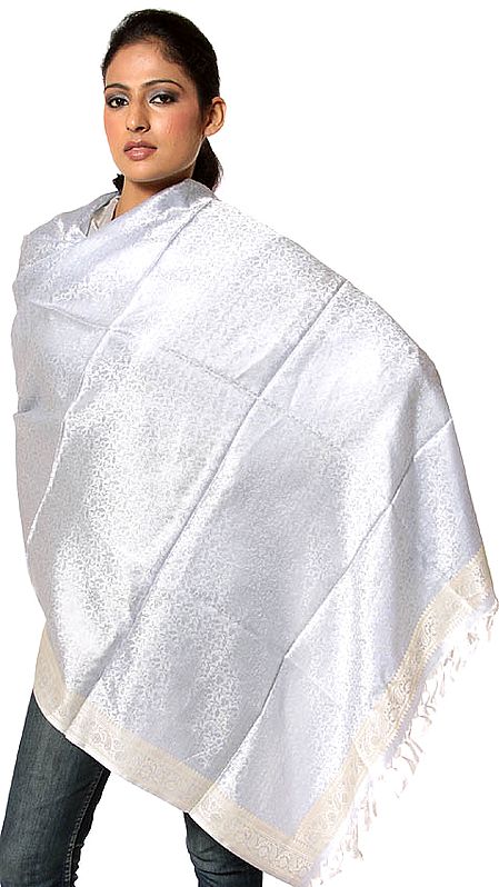 Handwoven Powder-Blue Banarasi Shawl with Tanchoi Weave