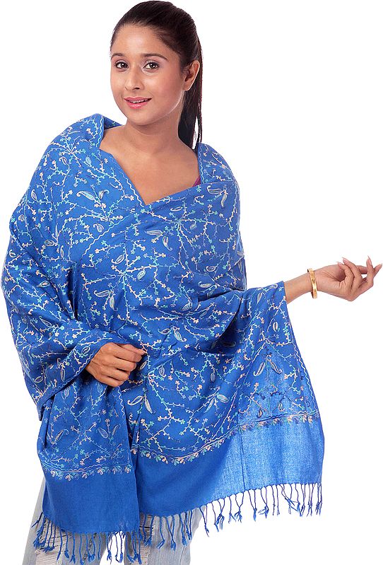 Royal-Blue Stole with Aari Embroidery All-Over