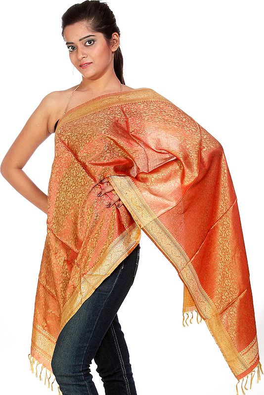 Beige and Red Banarasi Stole with Tanchoi Weave All Over