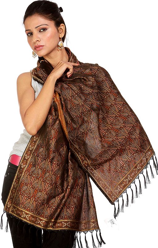 Black Resham Tehra Stole from Banaras with Woven Paisleys