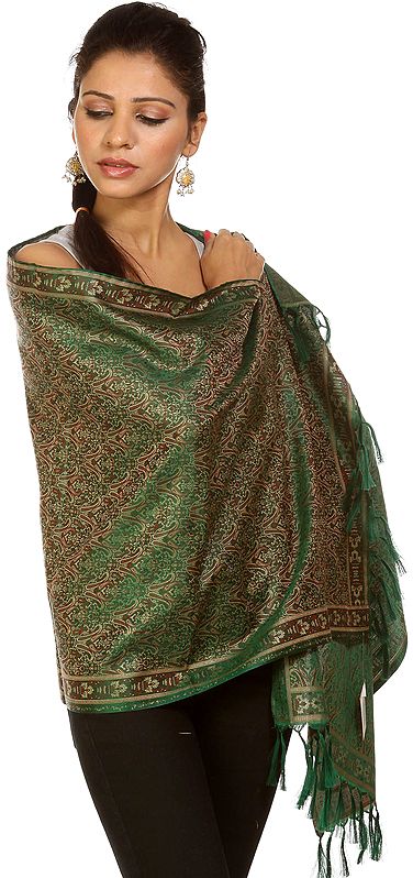 Islamic-Green Tehra Banarasi Stole with All-Over Hand-Woven Paisleys