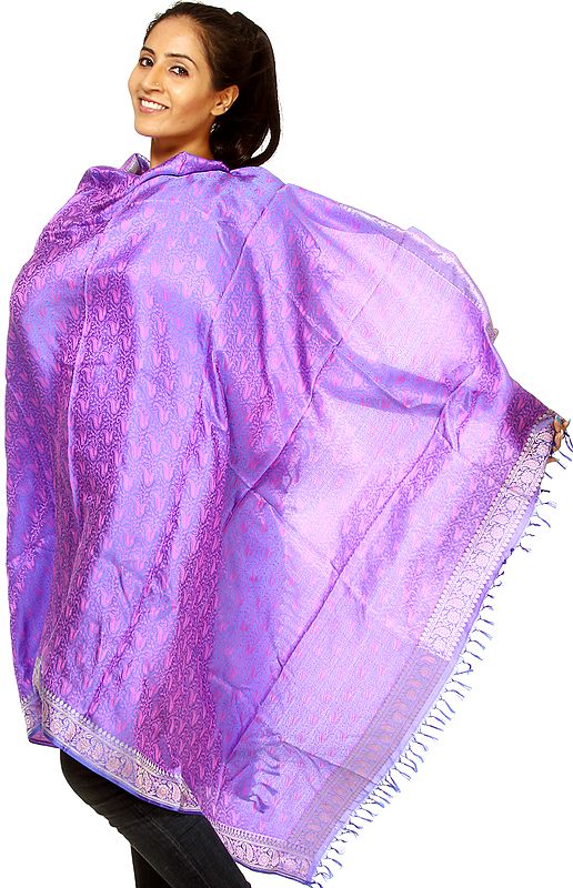 Handwoven Iris-Blue Banarasi Shawl with Tanchoi Weave