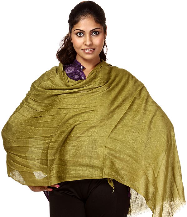 Olive-Green Plain Cashmere Stole with Self Weave