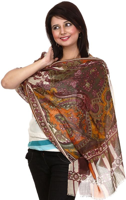 Multi-Color Stole with Antique Akbari Print and Ivory Core