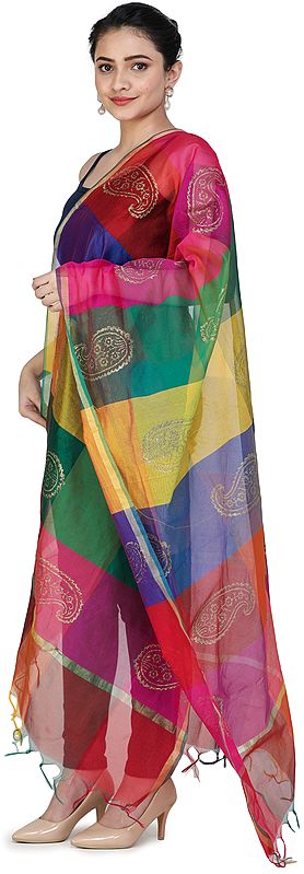 Multi-Color Rainbow Chanderi Dupatta with Printed Paisleys | Exotic ...