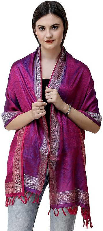 Banarasi Stole with All-Over Tanchoi Weave and Paisley Border