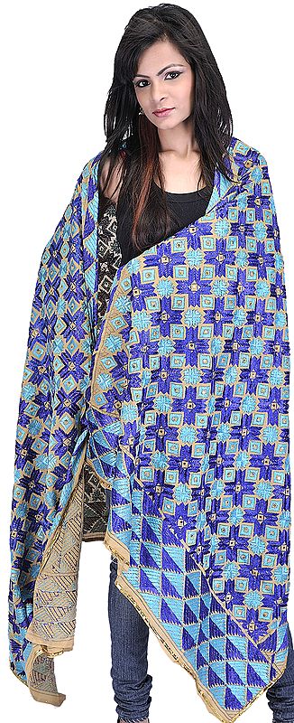 Beige and Blue Phulkari Dupatta from Punjab with Aari Embroidered Flowers and Sequins