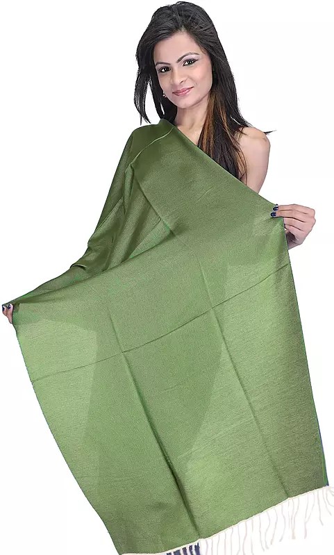 Plain Reversible Water-Pashmina Stole from Nepal