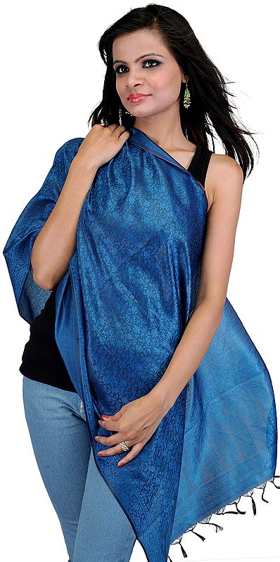 Daphne-Blue and Black Banarasi Scarf with All-Over Tanchoi Weave