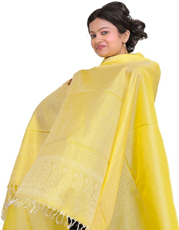 Banarasi Handloom Dupatta with Tanchoi Weave All-Over