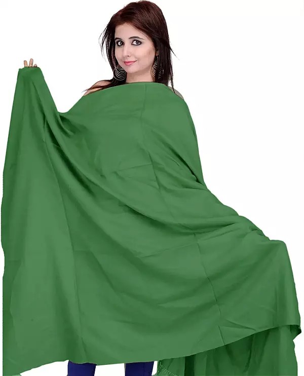 Plain Kashmiri Tusha Shawl