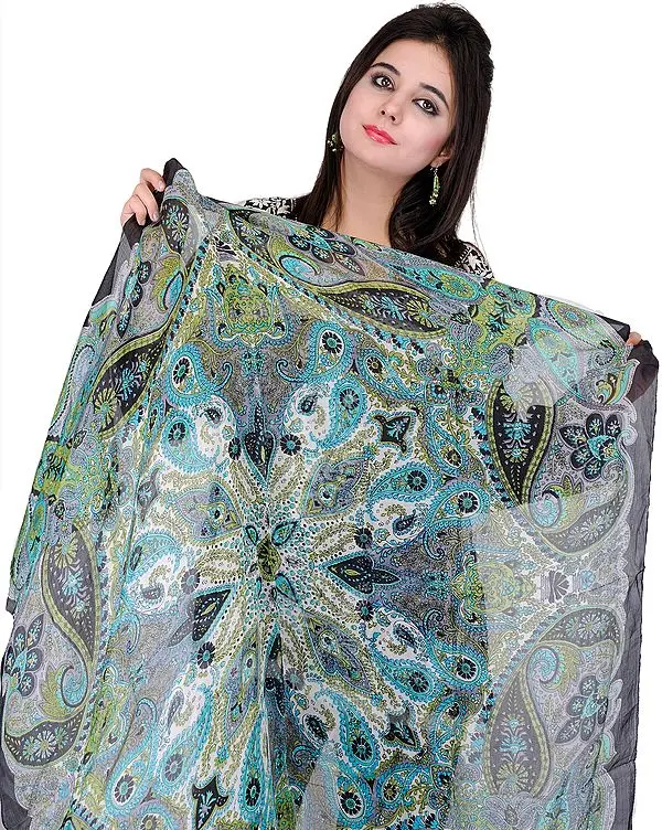Black Scarf with Large Printed Paisleys