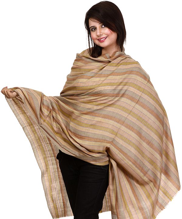 Beige Pure Pashmina Shawl with Multi-Color Woven Stripes