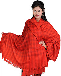 Tusha Shawl from Kashmir with Woven Checks All-Over