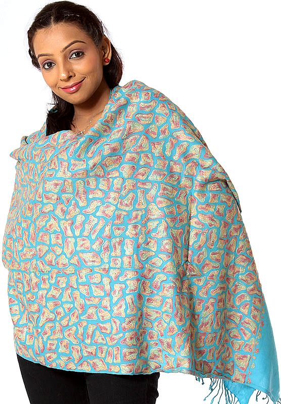 Sky-Blue Stole with Aari Embroidery All-Over