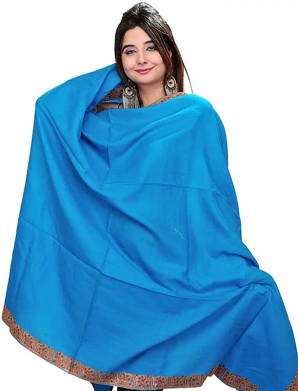 Plain Tusha Shawl from Kashmir with Needle Embroidery on Border