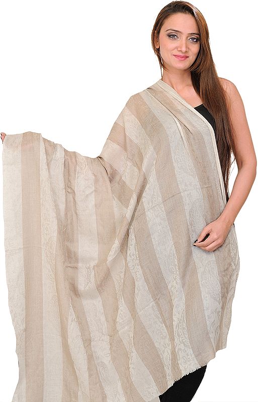 Moonstruck Pashmina Shawl with Woven Stripes and Self Weave, as an Imitation of Shahtush