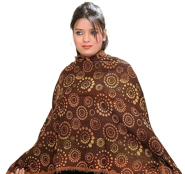 Multi-Colored Jamawar Stole with Woven Chakras