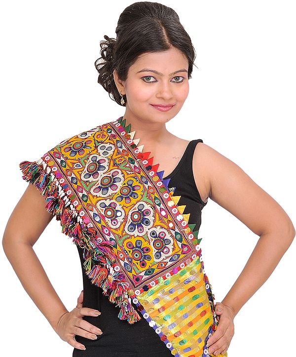 Multi-Color Dupatta from Kutch with Rabari Embroidery and Mirrors