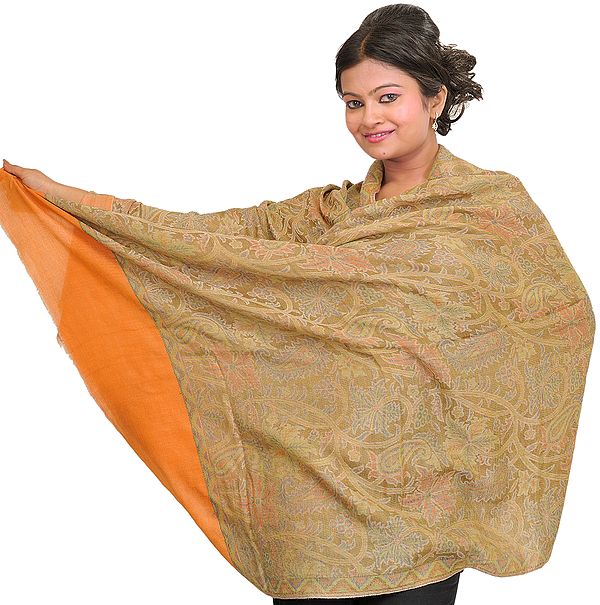 Cashmere Kani Reversible Stole with Woven Paisleys and Plain Border