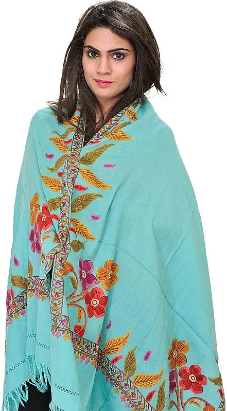 Stole from Kashmir with Aari Hand-Embroidery on Border