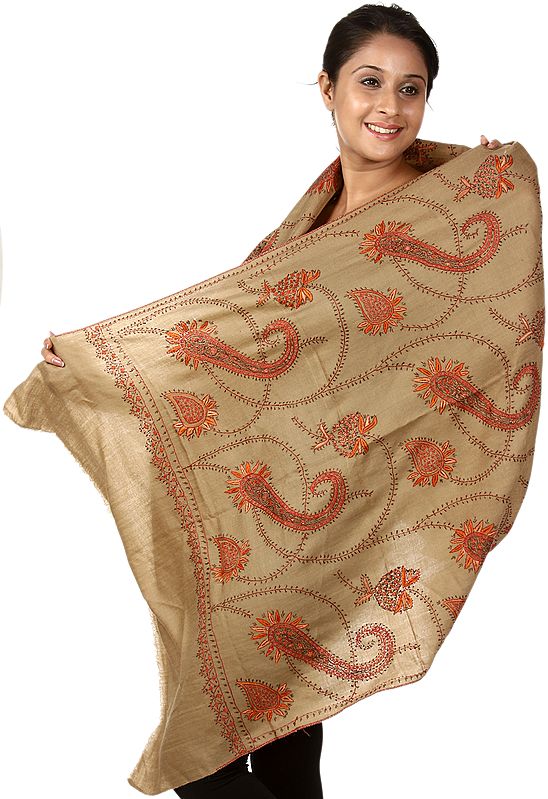 Taupe Stole from Kashmir with Needle Embroidered Paisleys by Hand