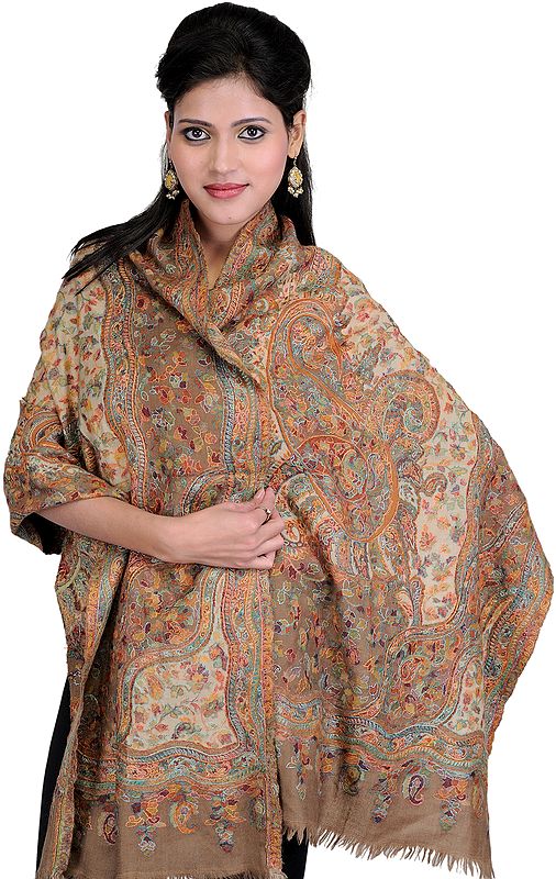 Tawny-Brown Kani Stole with Needle Embroidered by Hand and Multi-Colored Thread Weave