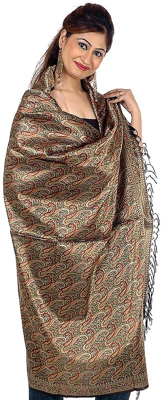 Tri-Color Resham Tehra Banarasi Shawl Hand-Woven with All-Over Paisleys