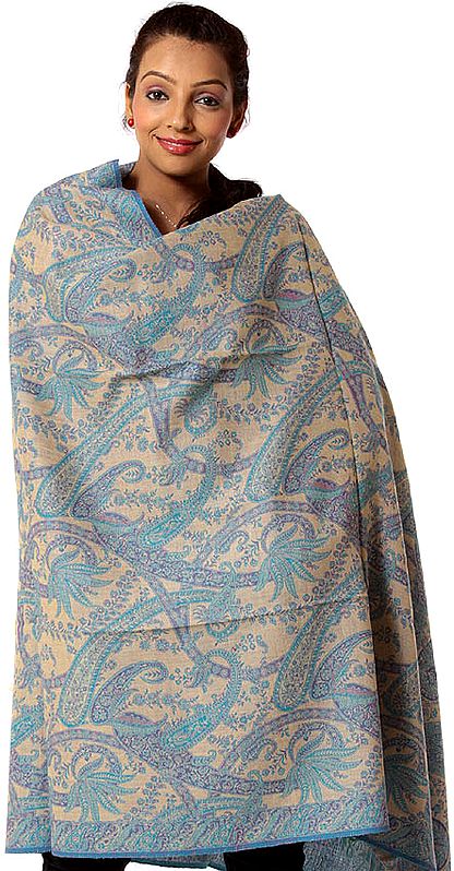 Turquoise and Beige Reversible Jamawar Shawl with All-Over Woven Paisleys