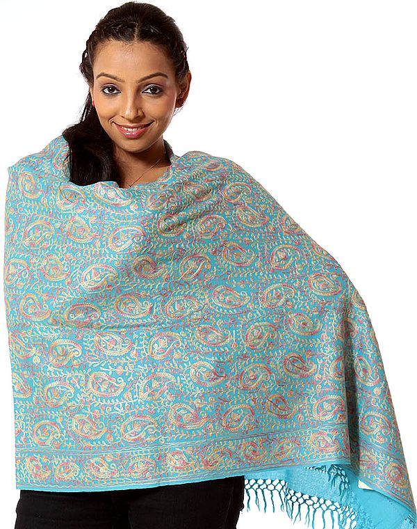 Turquoise Stole with Aari Embroidered Paisleys All-Over