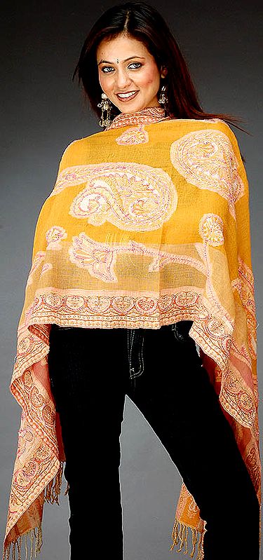 Twin-Colored Jamawar Stole with Beadwork