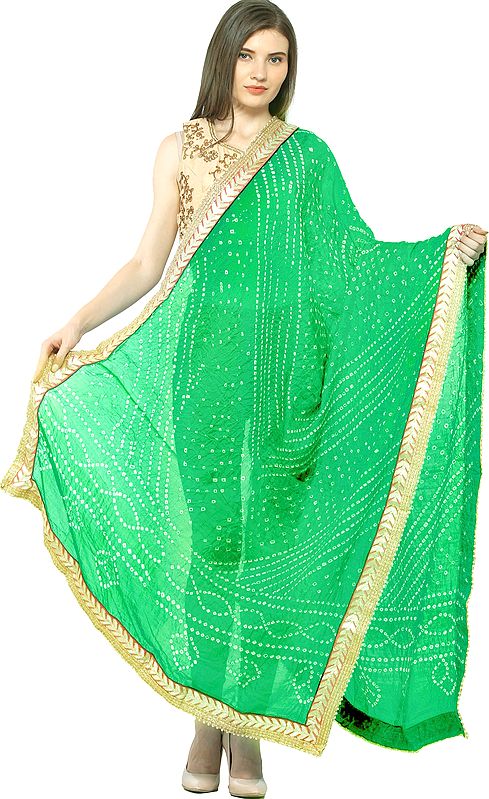 Dupatta from Jodhpur with Tie-dye Print and Gota Border